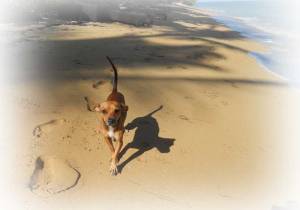 Une belle rencontre lors d'une longue,longue balade.