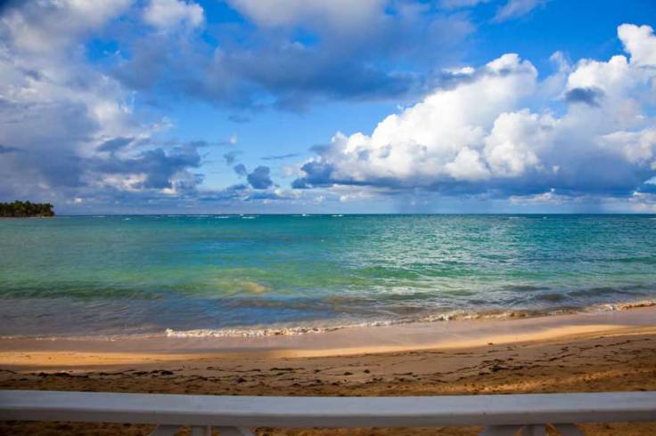 En tout premier, il y a la beauté....