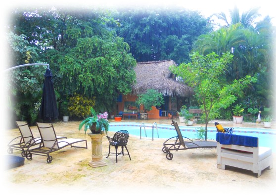 Les arbres sourient de toutes leurs feuilles, des petites grenouilles s'agitent et la piscine se remplit, bonjour madame la pluie.