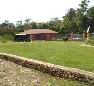 Le nouveau cadre de vie de ma pucinette