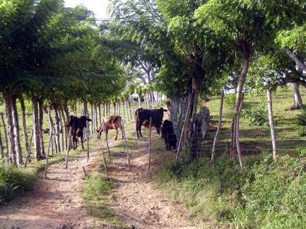 Une campagne magnifique.... 