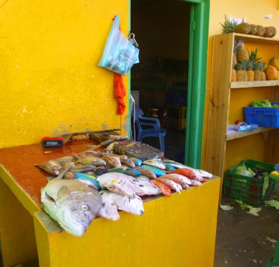 Monsieur Turttle Dive.... est-ce qu'il n'y aurait pas des poissons perroquets sur cet étal..... pas bien ca.