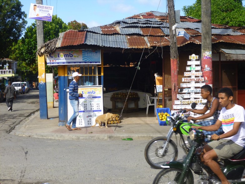 Des boutiques de bric et de broc aux toits improbables, tout un poème et en cadeau, un superbe et unique sapin de Noel