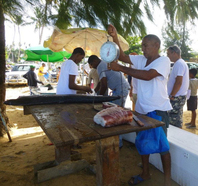 Daurades, chillos, poulpe.... il y a de tout, tout frais