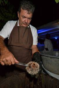 Thierry, le boss....il se bat avec un oursin récalcitrant