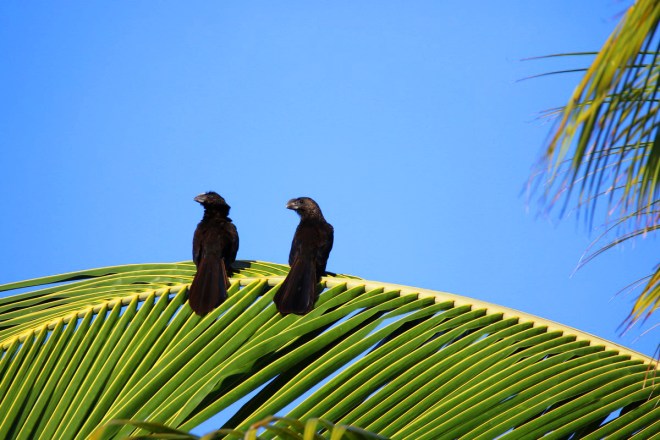 S'aimer..... c'est regarder dans la même direction.....