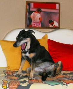 Mina, 13 ans passés.... elle m'a fait peur, mais elle va mieux.