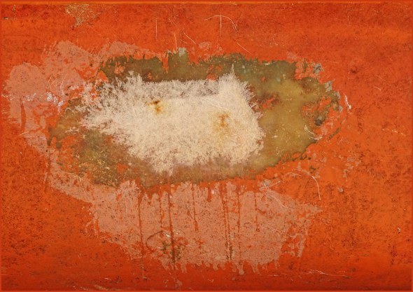 Crabe? Chien? Deux en un