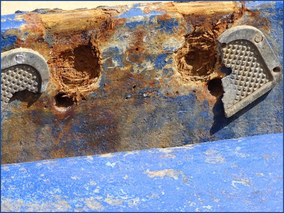 Rupture.... Elephant