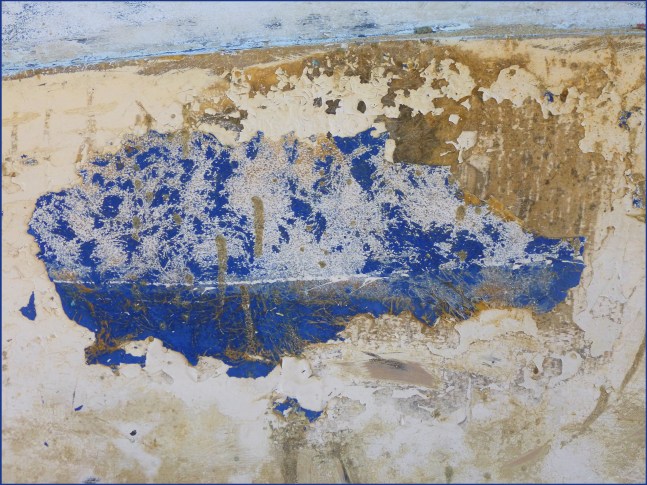 Baleine bleue. Janvier à Samana?